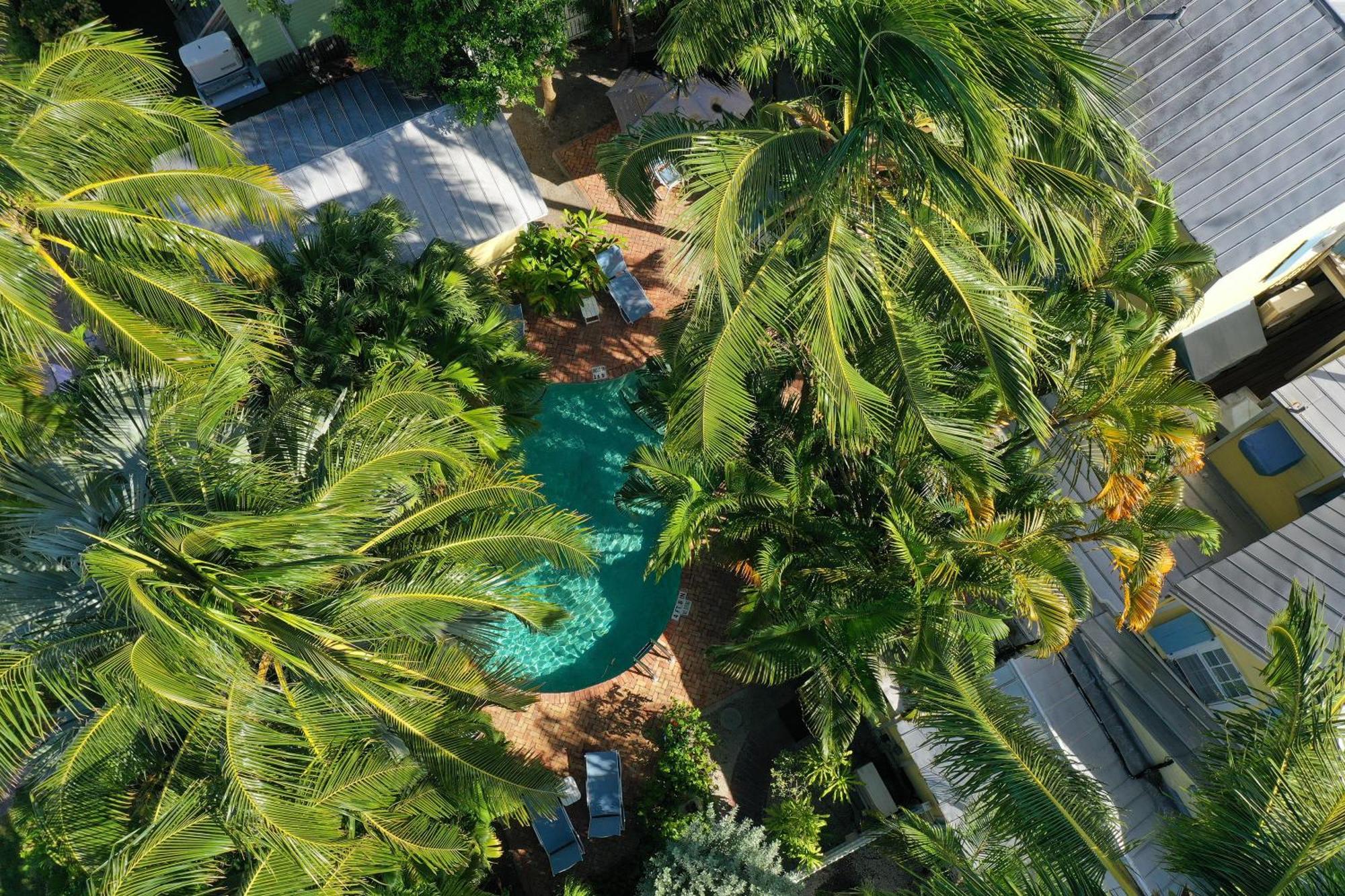Tranquillity Guest House Key West Exteriér fotografie
